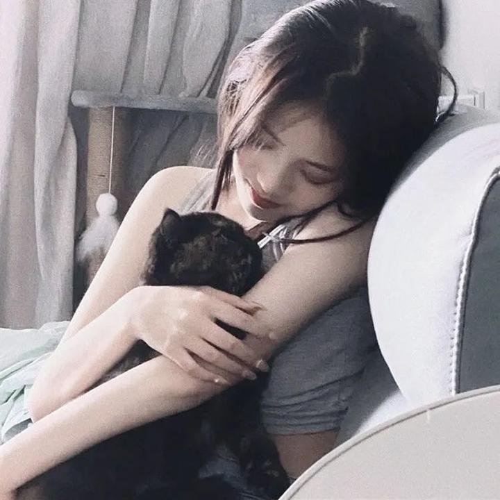 你是猪